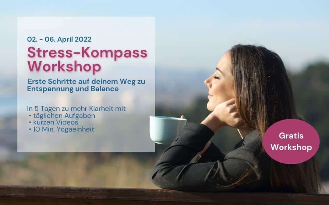 Digitale Produkte verkaufen_ Stress-Kompass Workshop