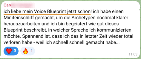 Eine Teilnehmerin schreibt in der Challenge-Gruppe: ich liebe mein Voice Blueprint jetzt schon